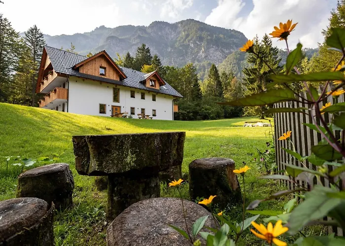 The Woodland Nook Appartement